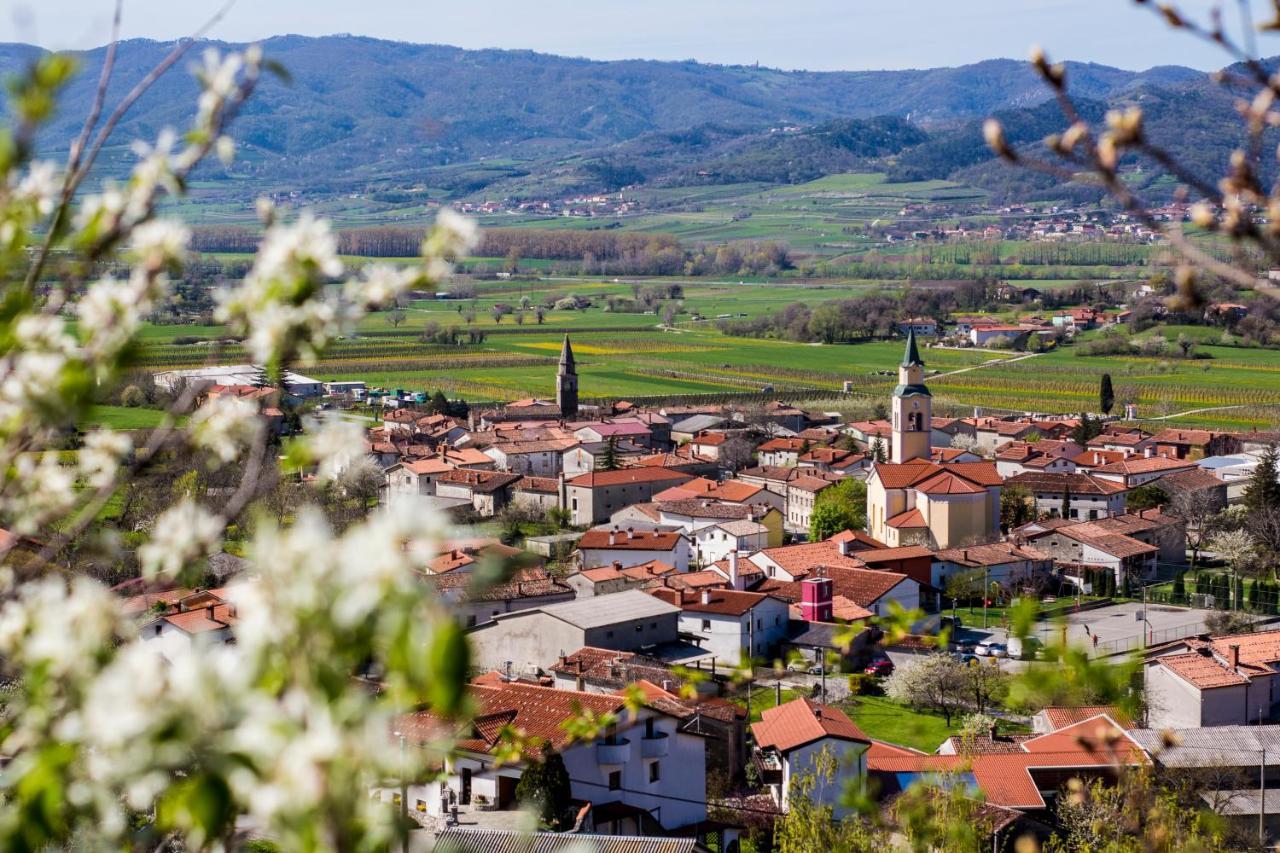 Theodosius Forest Village - Glamping In Vipava Valley エクステリア 写真